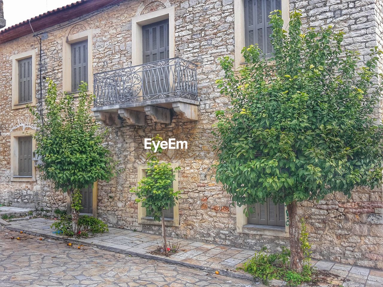 IVY GROWING ON HOUSE