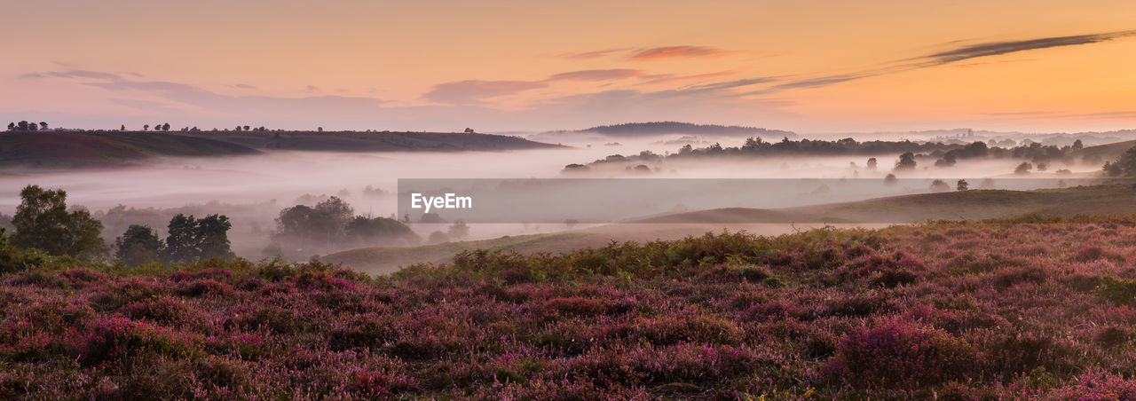 PANORAMIC VIEW OF LANDSCAPE AGAINST SKY AT SUNSET