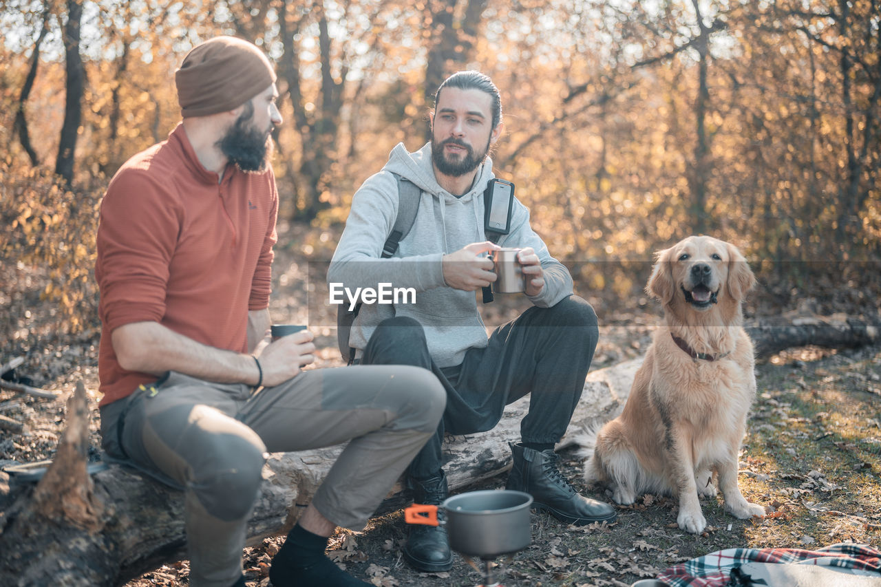 VIEW OF DOGS SITTING ON ROCK