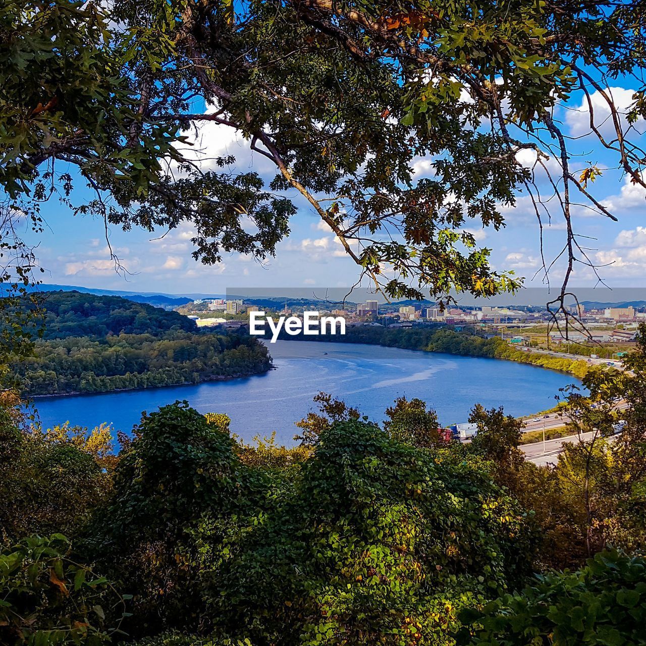 Scenic view of river amidst trees against sky