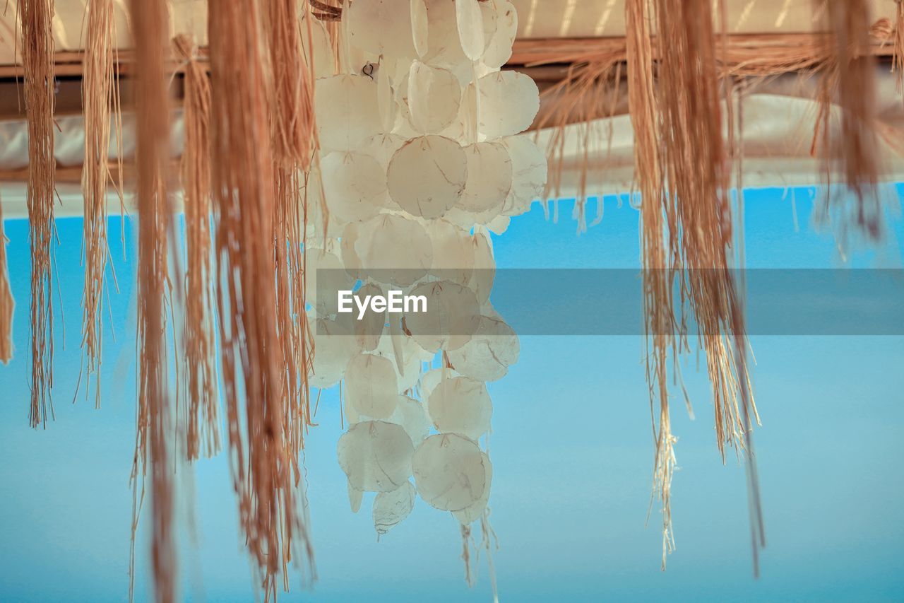 CLOSE-UP OF BLUE WATER HANGING ON WOOD