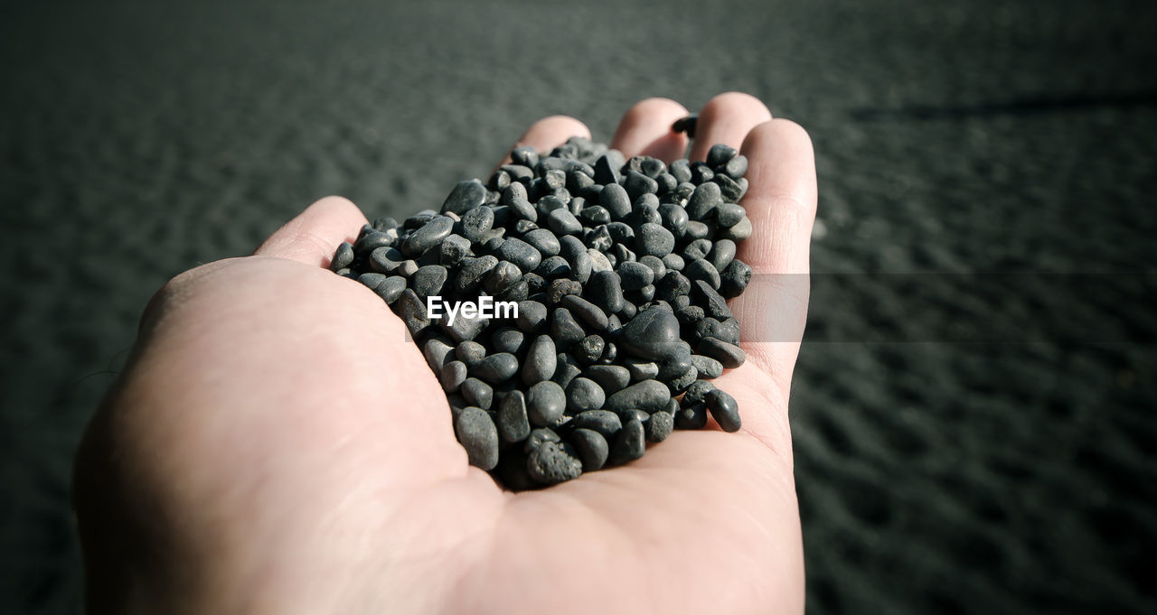 Close-up of human hand holding black pebbles at beach