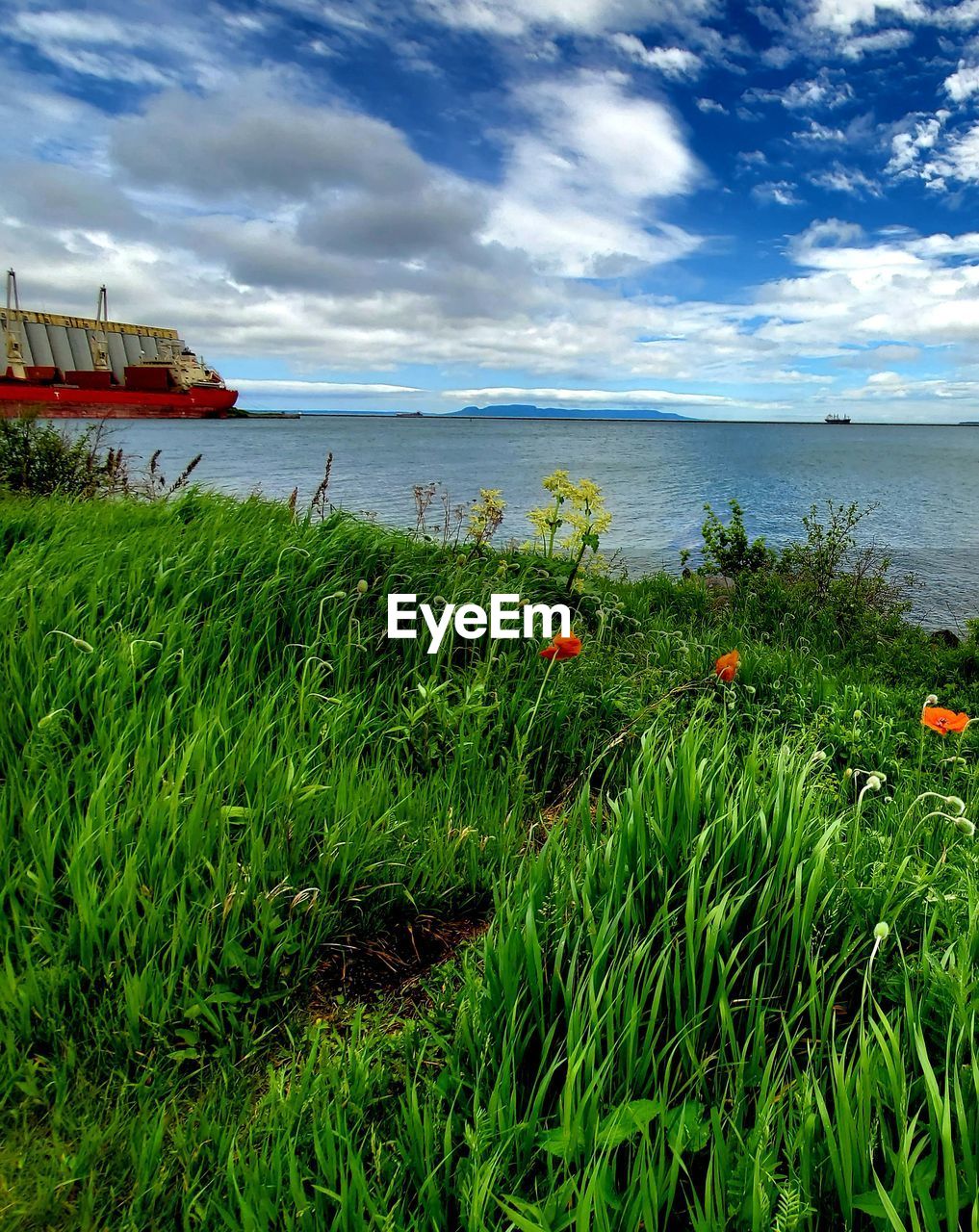 SCENIC VIEW OF SEA AGAINST SKY AT BEACH