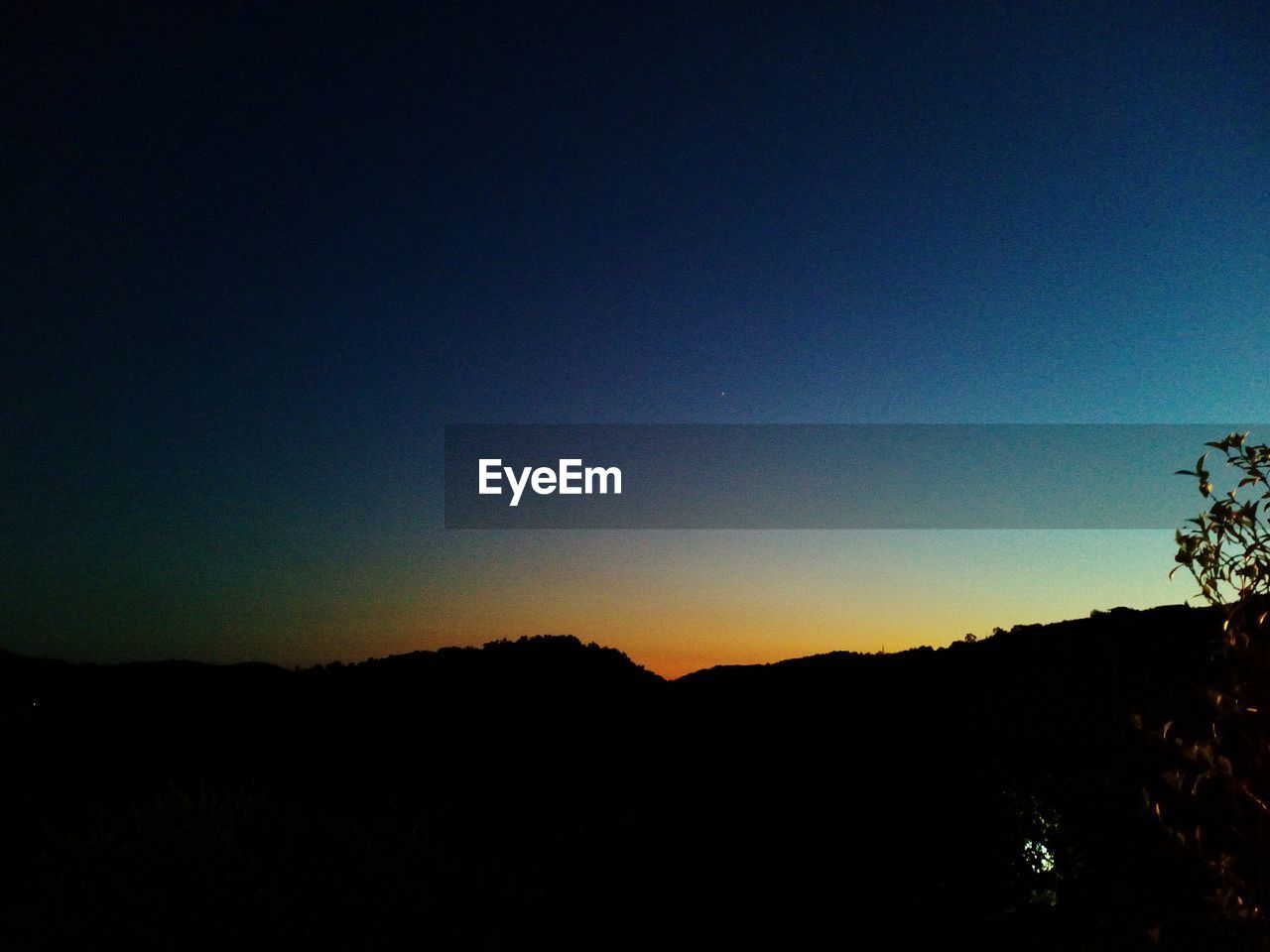 SILHOUETTE TREES AGAINST SKY AT NIGHT