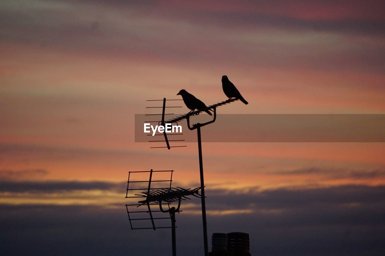 sky, sunset, wind, technology, cloud, silhouette, communication, nature, dusk, architecture, no people, built structure, evening, outdoors, antenna, low angle view, electricity, television antenna, tower