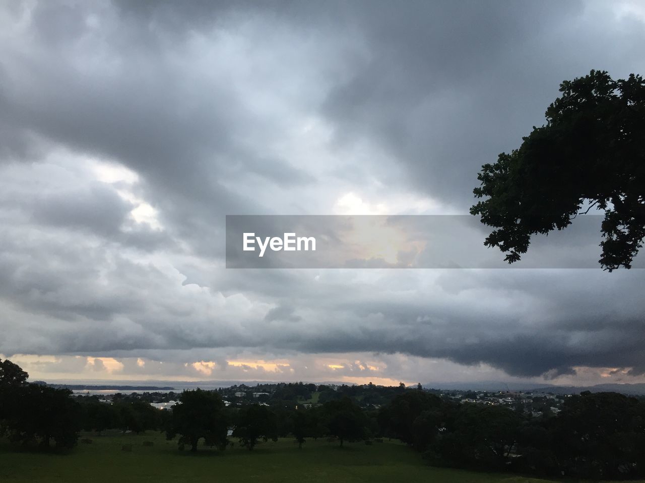 TREES ON FIELD AGAINST SKY AT SUNSET