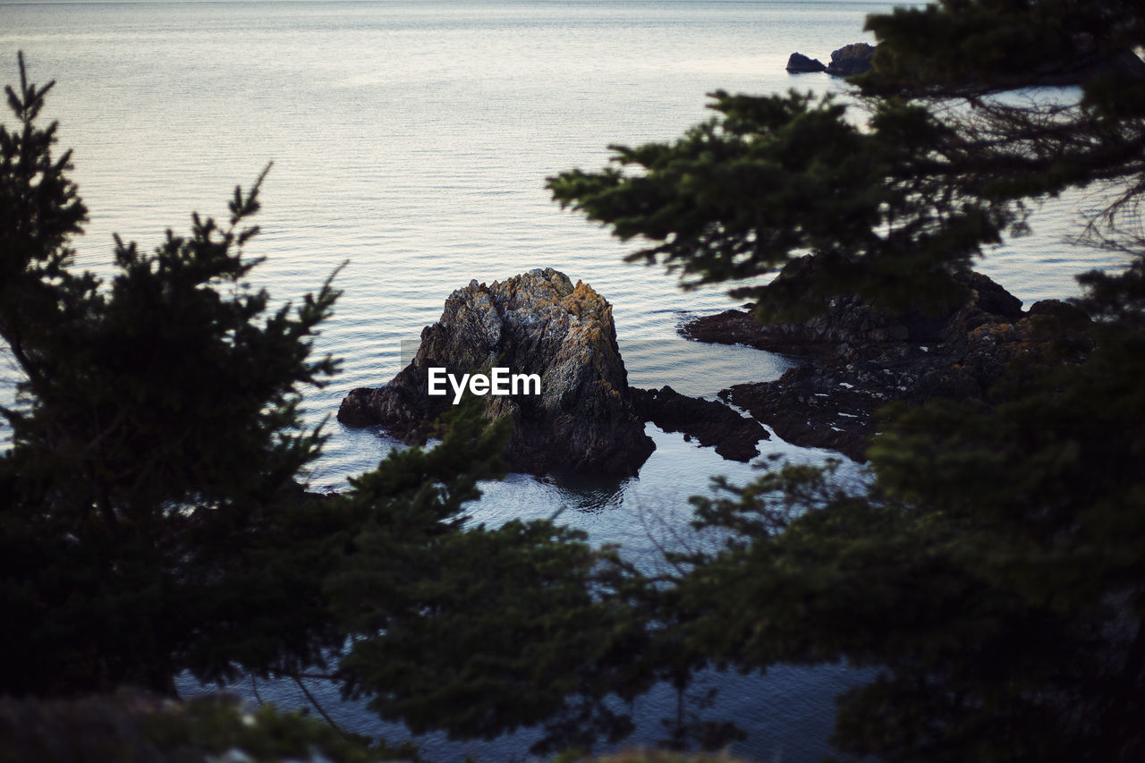 Scenic view of sea by trees against sky