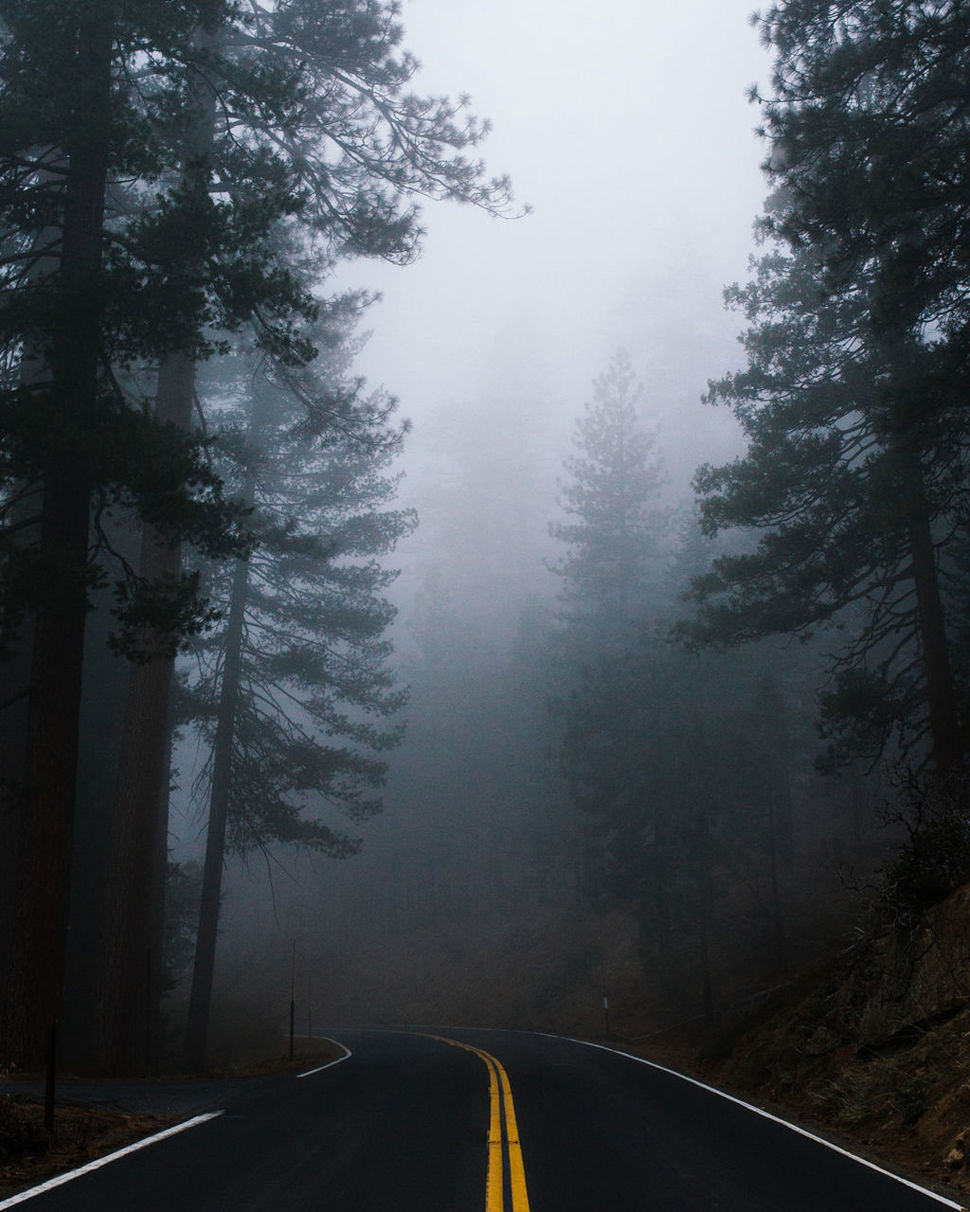Long empty road along trees