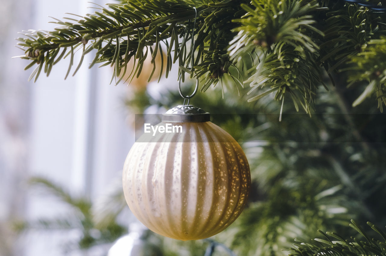 Close-up of christmas bauble on tree