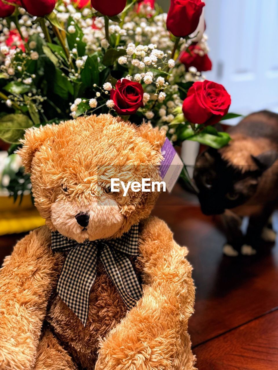 teddy bear, toy, flower, stuffed toy, mammal, plant, flowering plant, animal, no people, animal themes, domestic animals, indoors, nature, canine, dog, gift, cute, animal representation, decoration, pet, representation, one animal, home interior, softness, brown