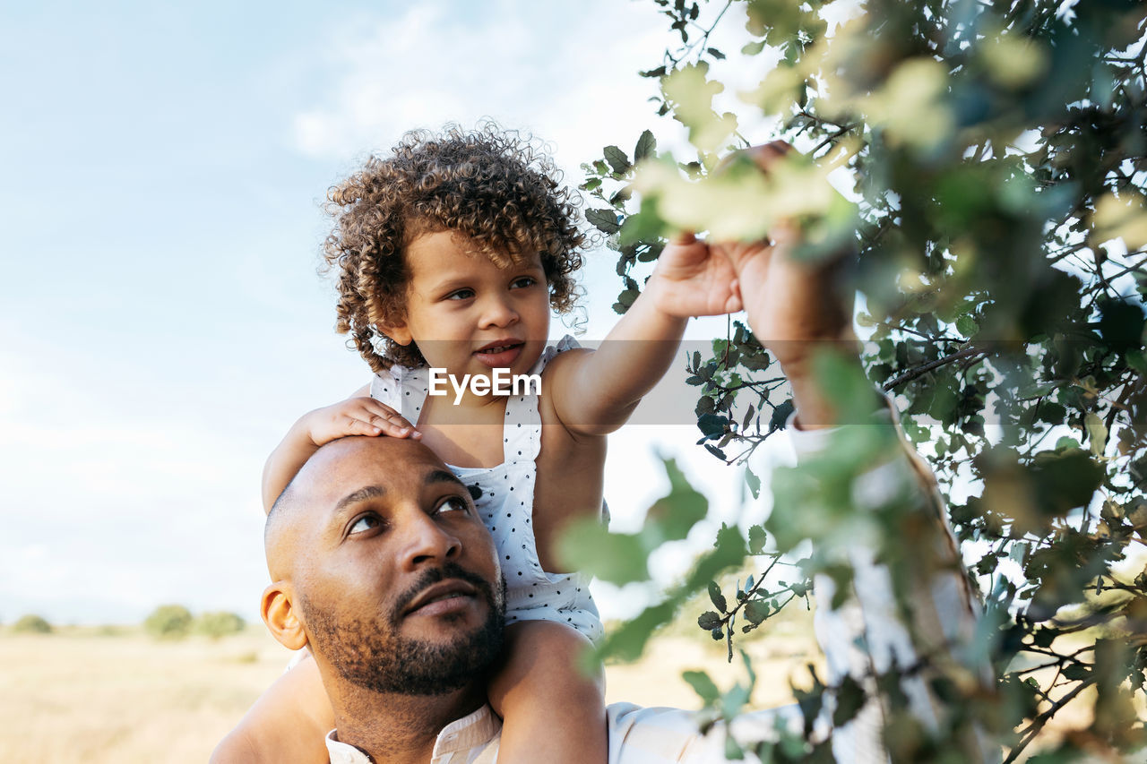 African american father and curious little daughter touching tree leaves in countryside in summer