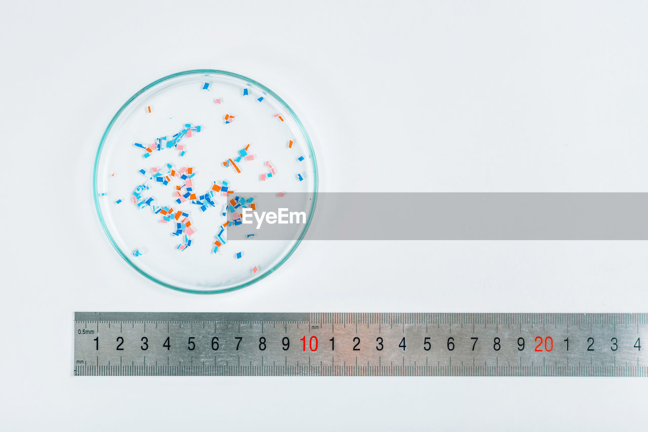 Microplastics in a petri dish, environmental science concept