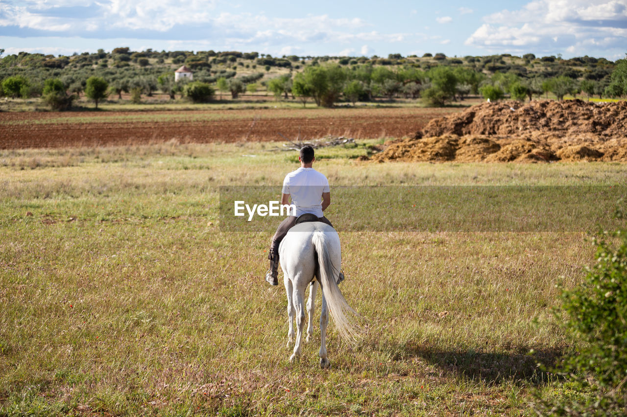 FULL LENGTH REAR VIEW OF MAN RIDING ON FIELD