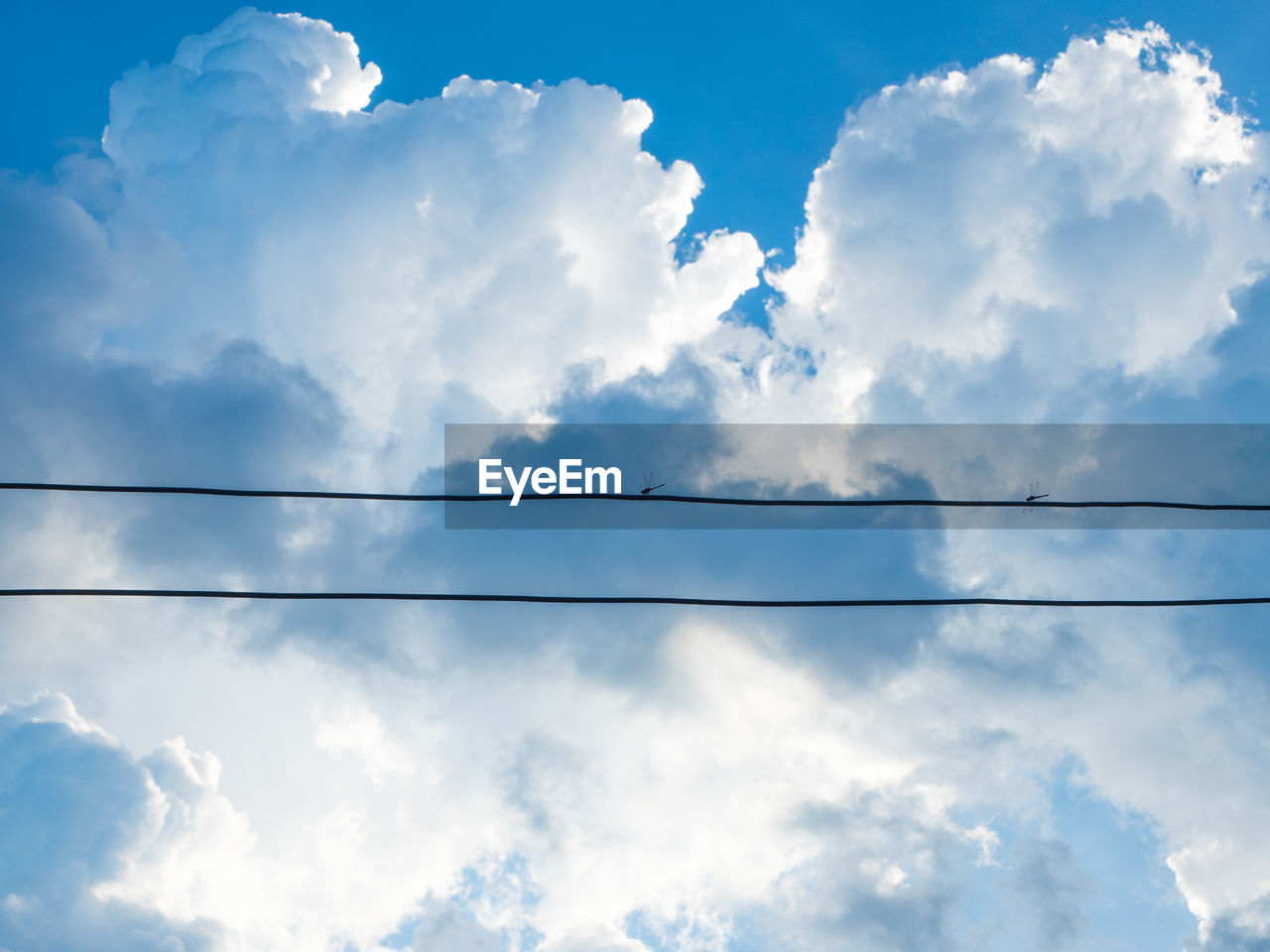 LOW ANGLE VIEW OF POWER LINE AGAINST SKY