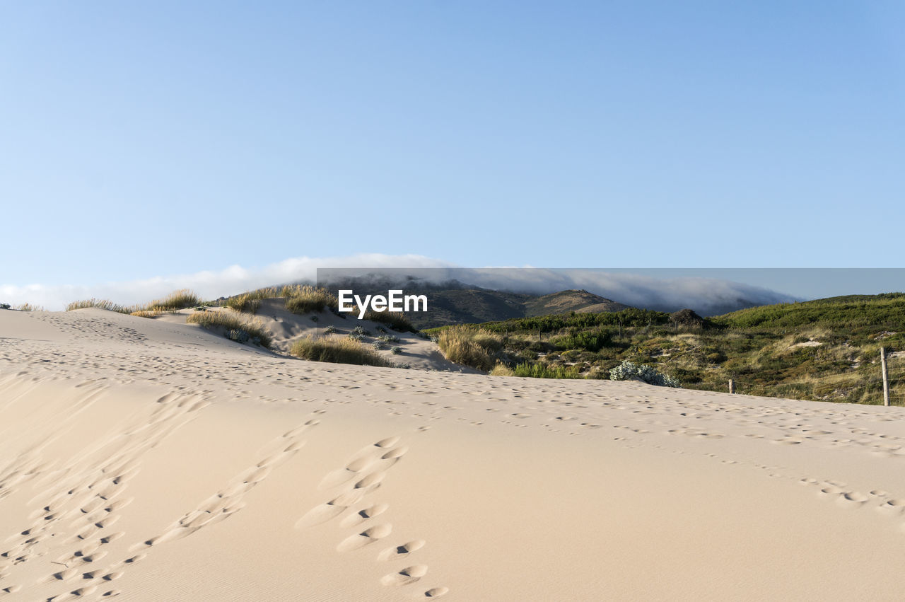 Scenic view of sand dunes against clear sky