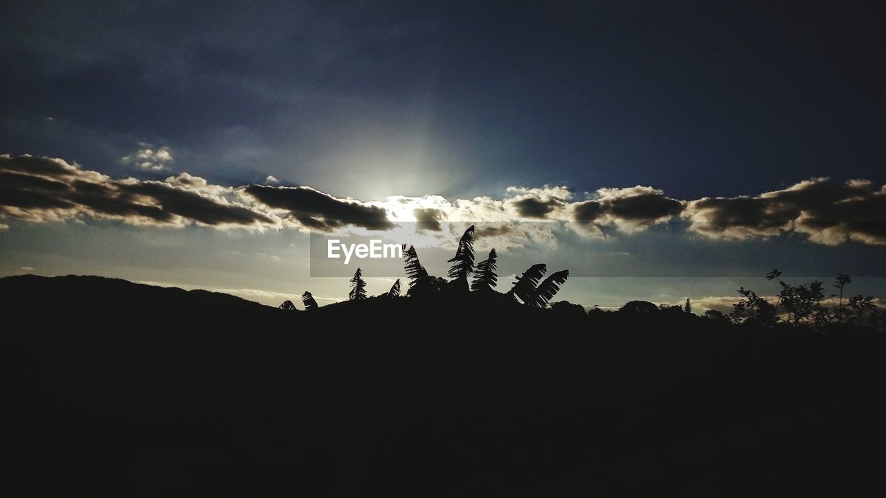 LOW ANGLE VIEW OF SILHOUETTE TREES ON LANDSCAPE AGAINST SKY