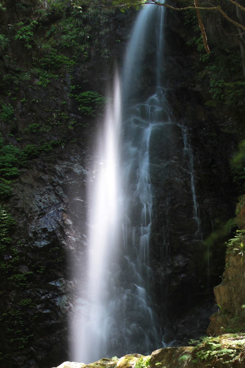 Waterfall in forest