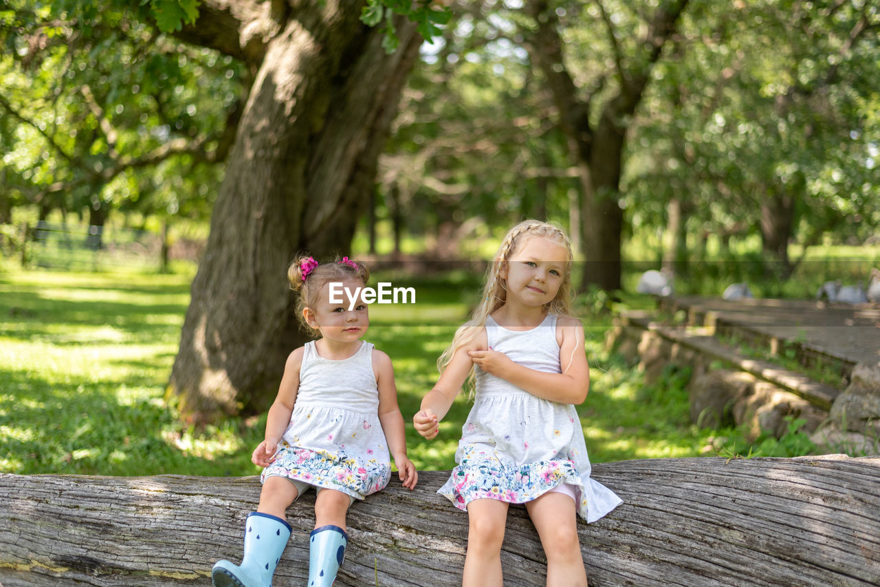 Portrait of cute girls sitting on tree trunk at park