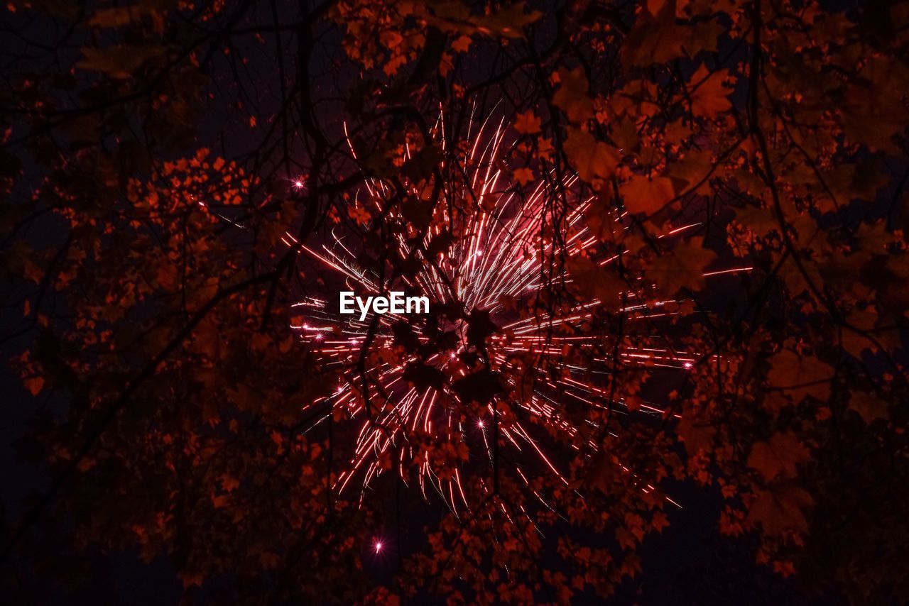 LOW ANGLE VIEW OF FIREWORKS DISPLAY AT NIGHT