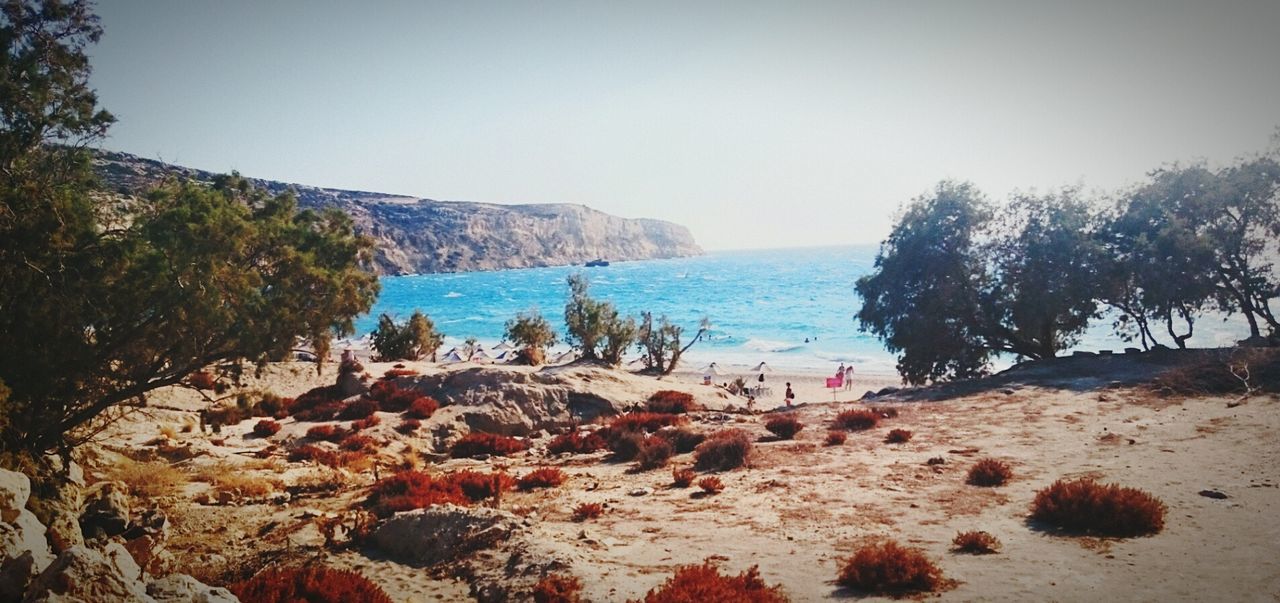 PANORAMIC VIEW OF BEACH AGAINST CLEAR SKY