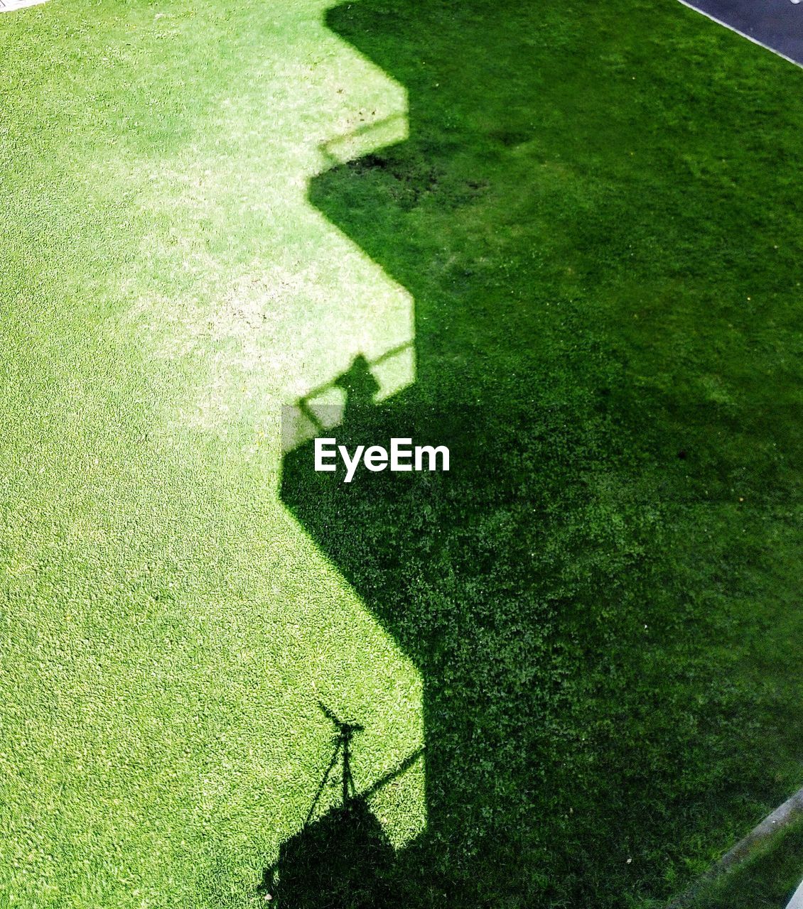 SHADOW OF PERSON ON GRASS