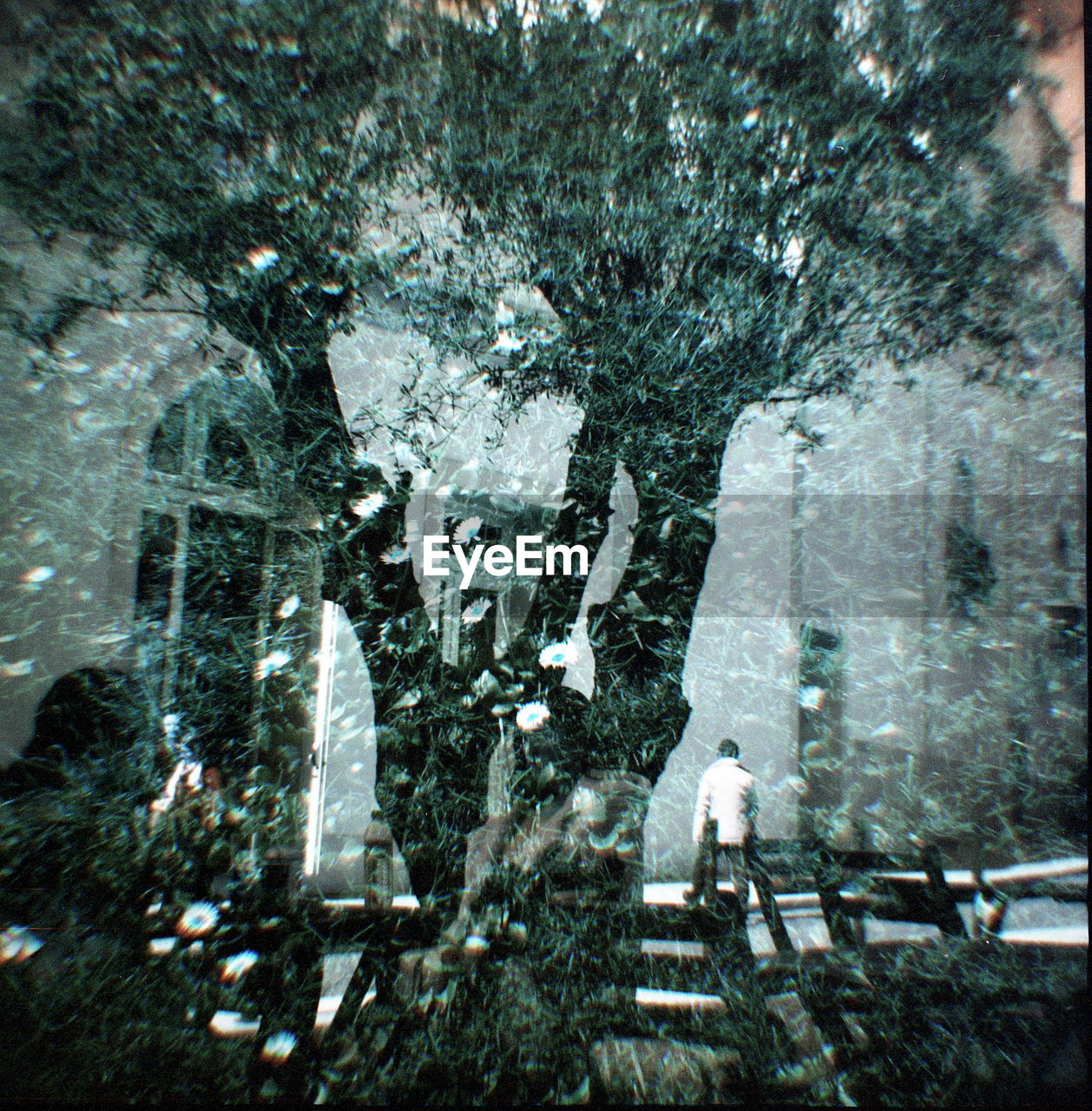 WOMAN STANDING ON TREE TRUNK