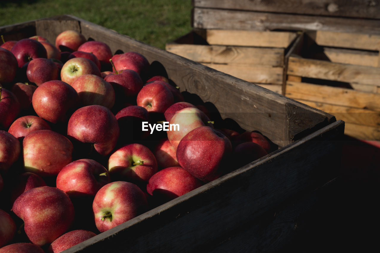 HIGH ANGLE VIEW OF APPLES IN CRATE IN BOX