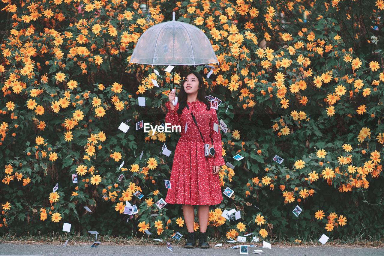 portrait of young woman with umbrella standing against plants