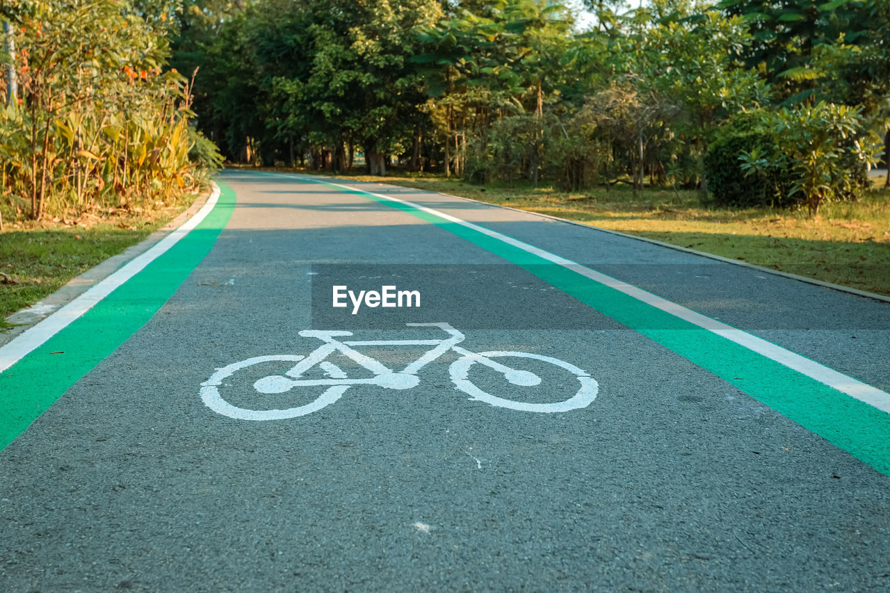 SURFACE LEVEL OF ROAD AMIDST TREES