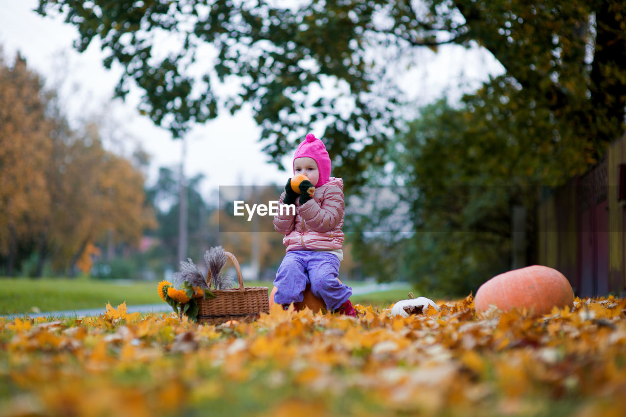 Girl smelling orange while sitting on pumpkin over autumn leaves against trees at public park
