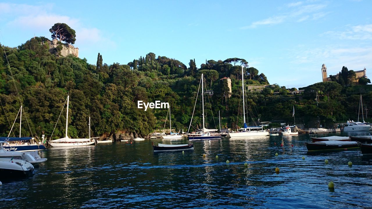 Boats moored at harbor against sky