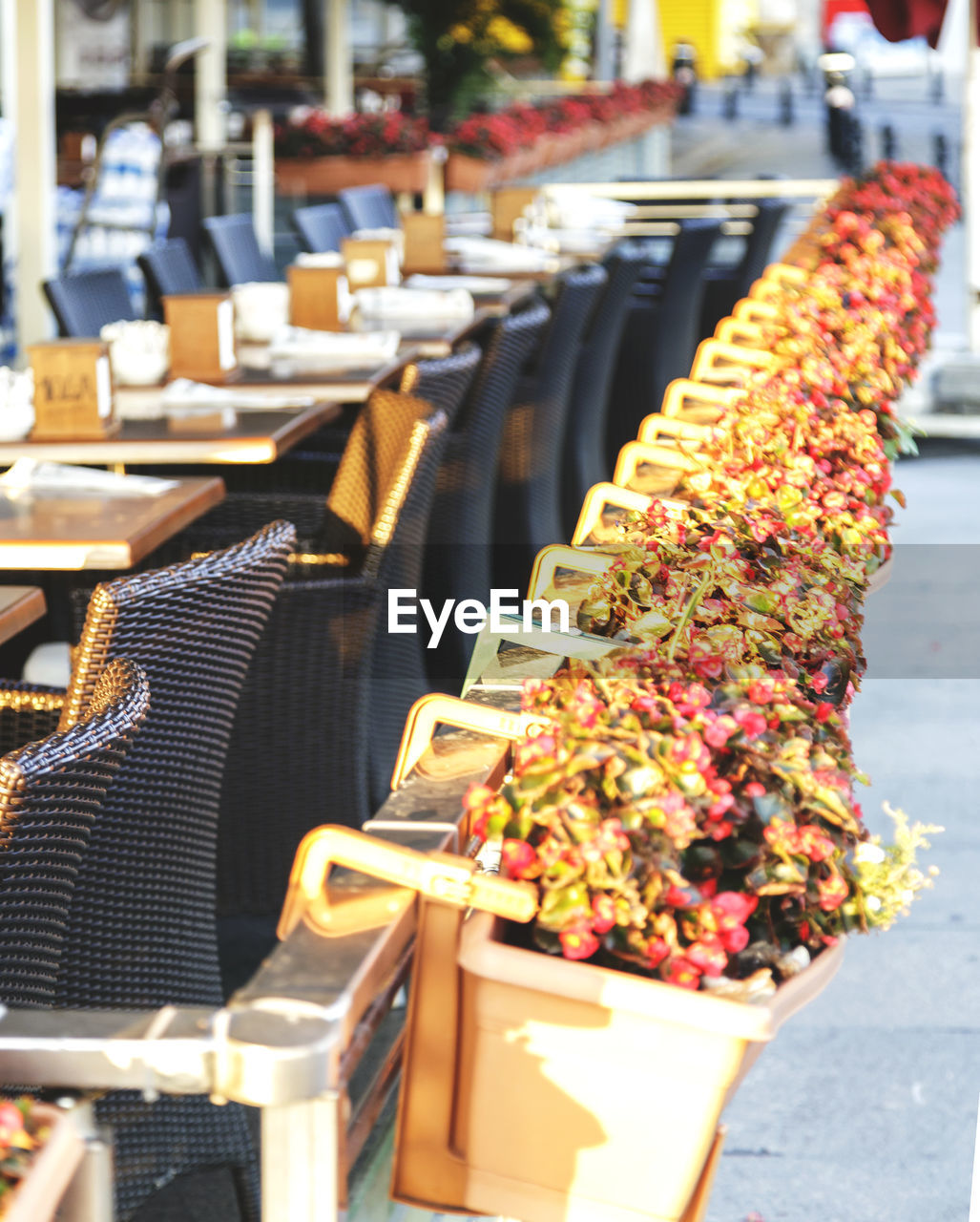 High angle view of potted plants by tables and chairs at restaurant