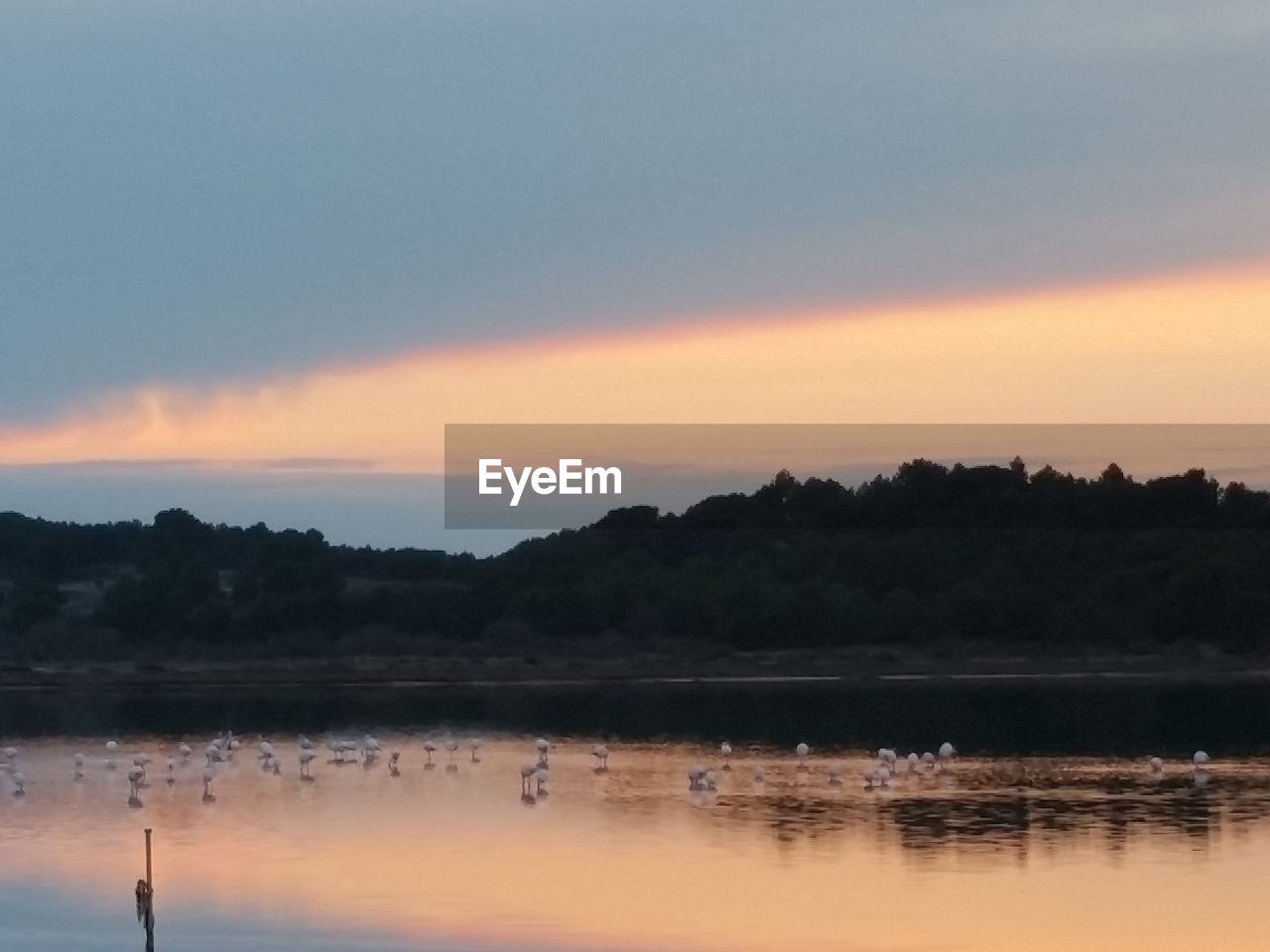 SILHOUETTE TREES BY LAKE AGAINST SKY AT SUNSET