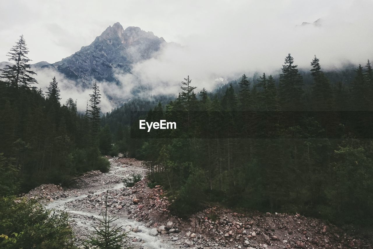 Scenic view of trees and mountains against sky