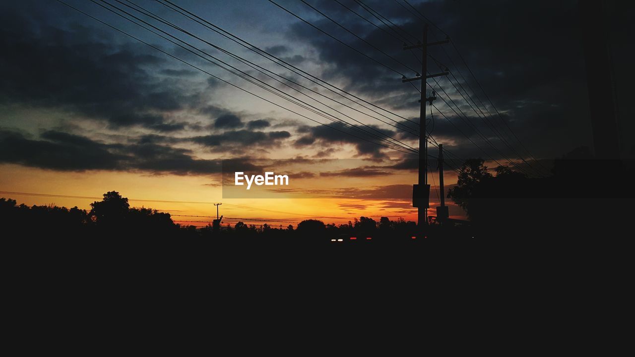 SILHOUETTE OF TREES AT SUNSET