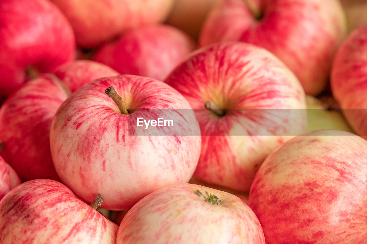 FULL FRAME SHOT OF APPLES FOR SALE