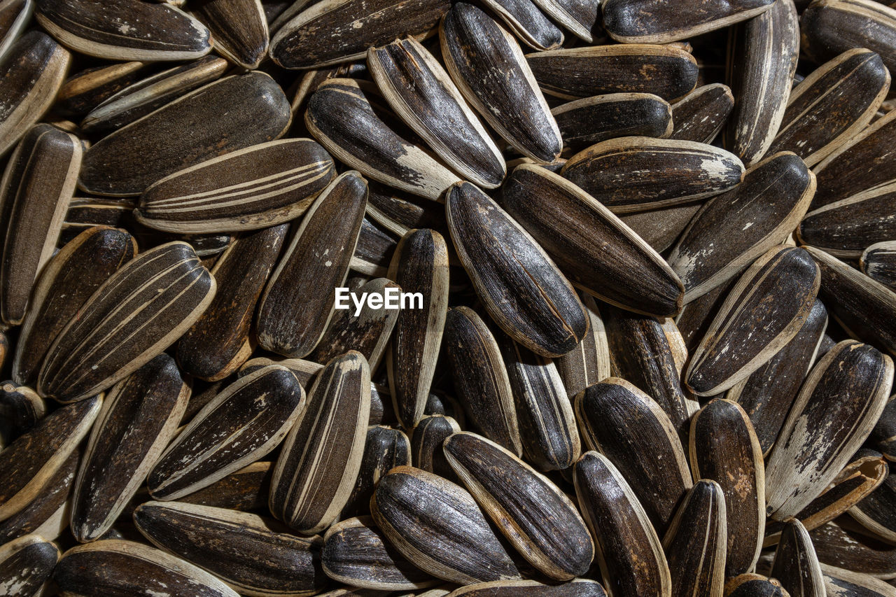 sunflower seed, full frame, backgrounds, large group of objects, food, vegetarian food, food and drink, produce, abundance, no people, nuts & seeds, close-up, still life, indoors, freshness, brown, healthy eating, pattern, seed, wellbeing