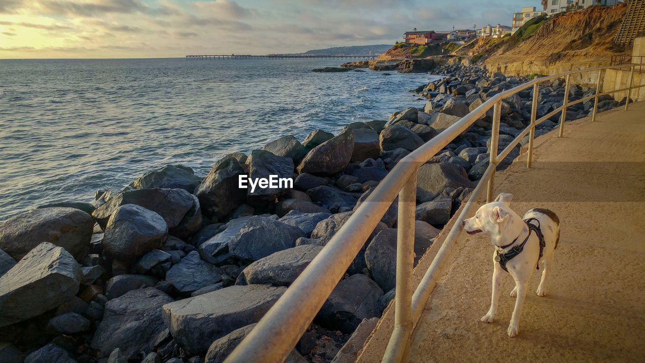 SCENIC VIEW OF SEA SHORE