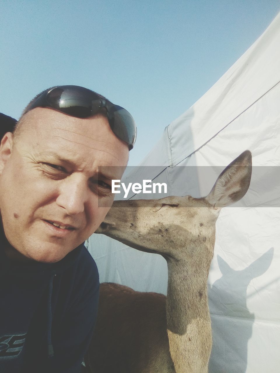 Low angle view of deer kissing man