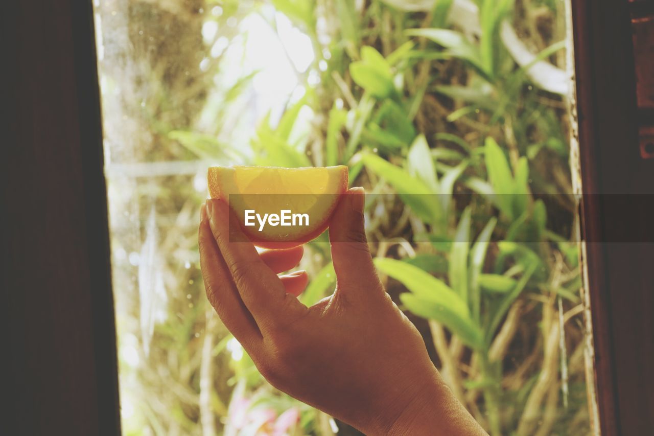 Cropped hand holding orange against window at home