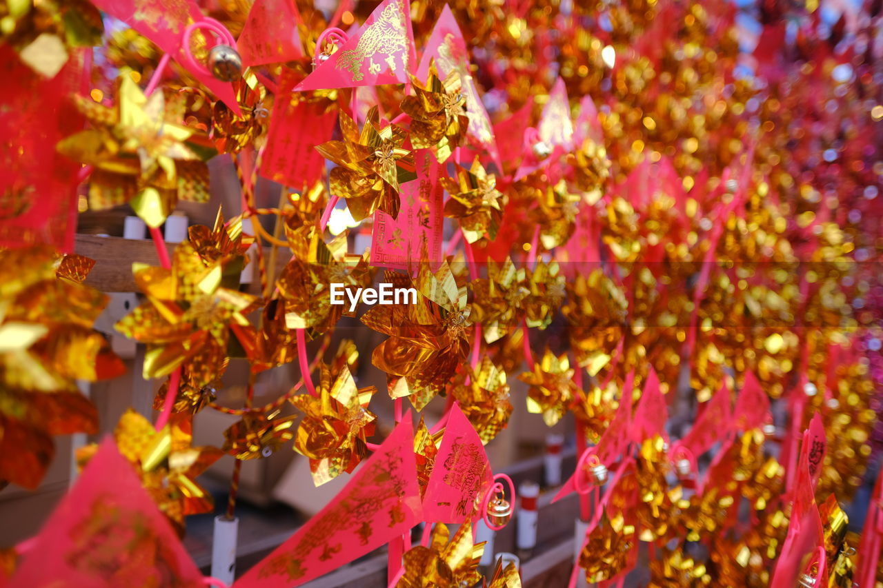 CLOSE-UP OF RED MAPLE LEAVES ON BRANCH