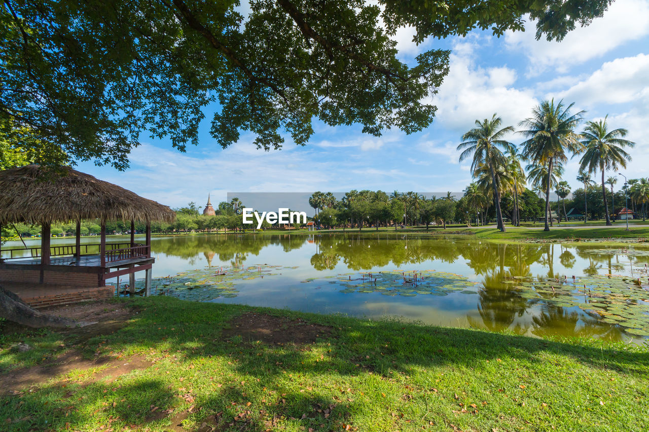 SCENIC VIEW OF LAKE WITH PALM TREES AGAINST SKY