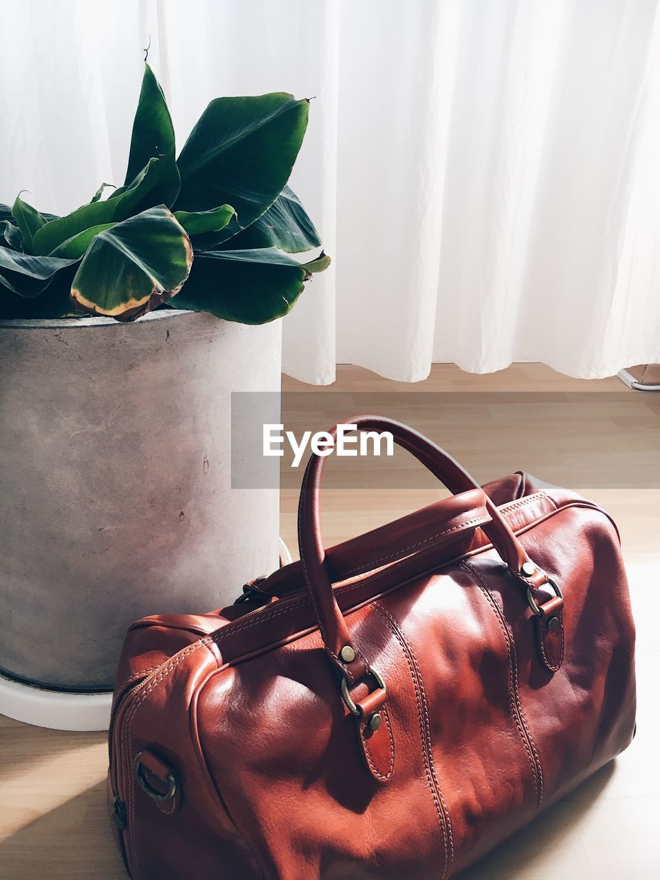 Close-up of leather bag by houseplant at home