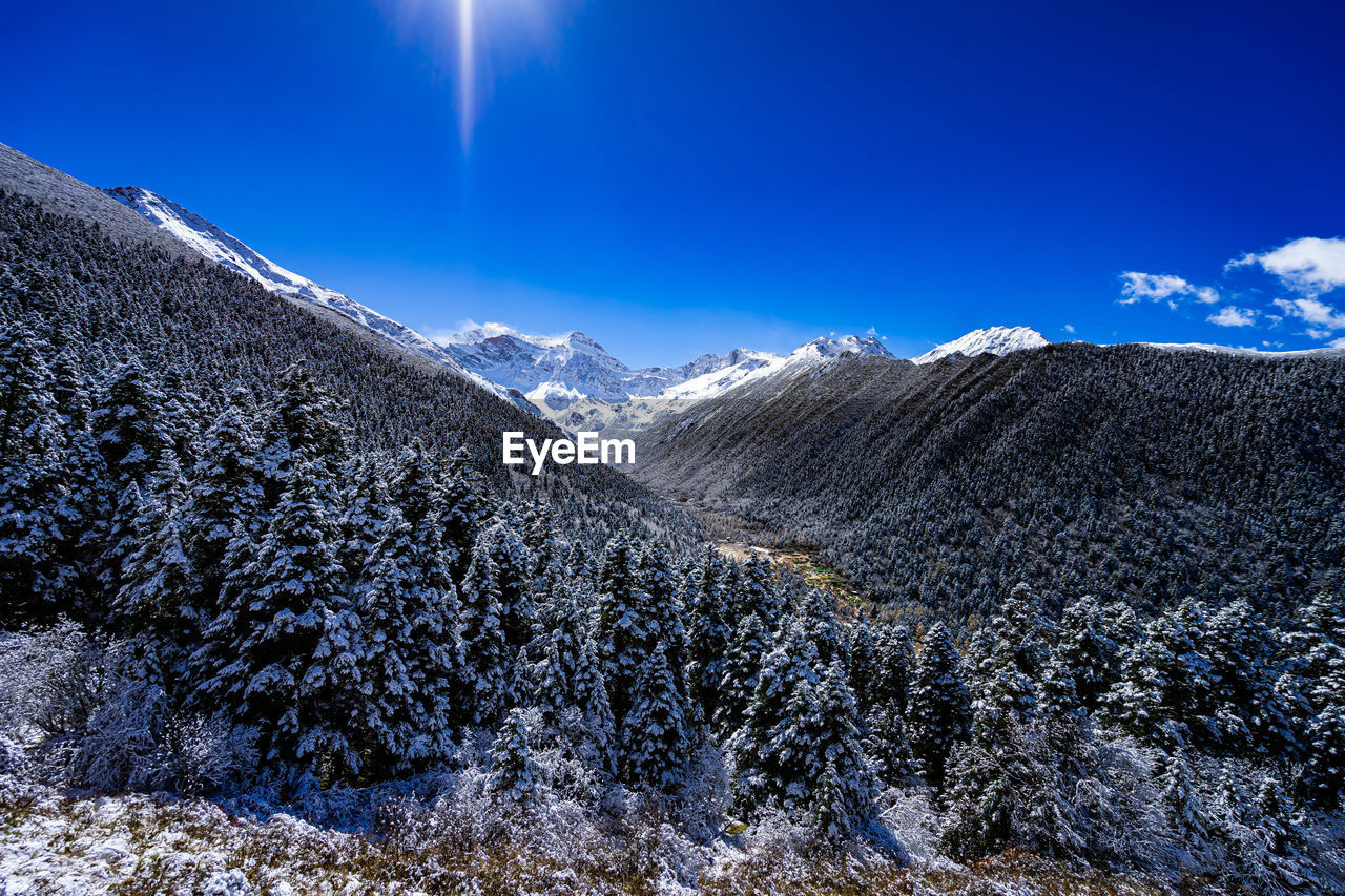 snow, mountain, sky, scenics - nature, winter, cold temperature, environment, landscape, nature, beauty in nature, mountain range, tree, plant, snowcapped mountain, coniferous tree, blue, pine tree, land, pinaceae, forest, cloud, no people, tranquil scene, tranquility, non-urban scene, travel destinations, pine woodland, sunlight, wilderness, outdoors, travel, mountain peak, sun, ridge, day, tourism, clear sky, sunny, frozen, woodland, idyllic