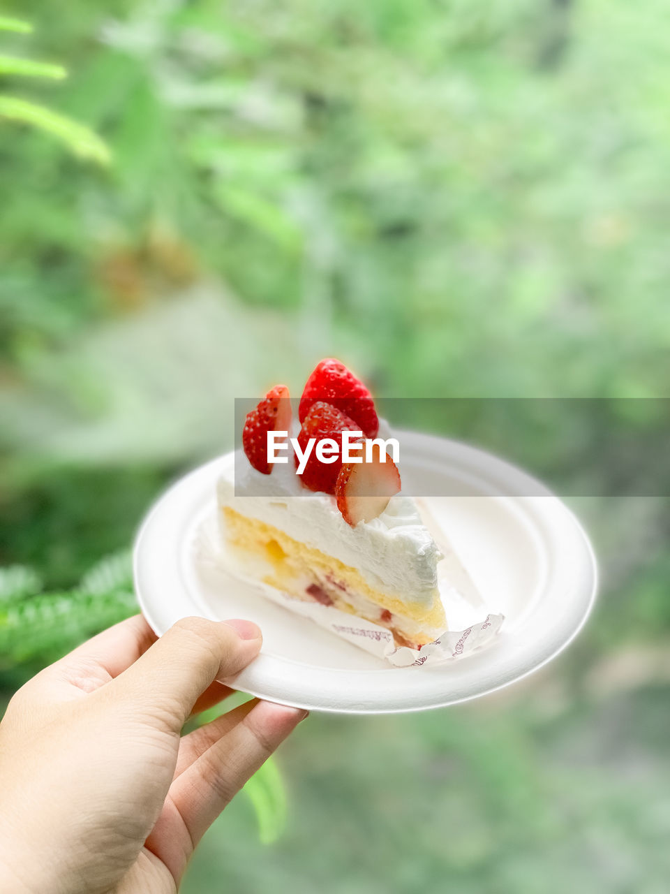 Strawberry cake