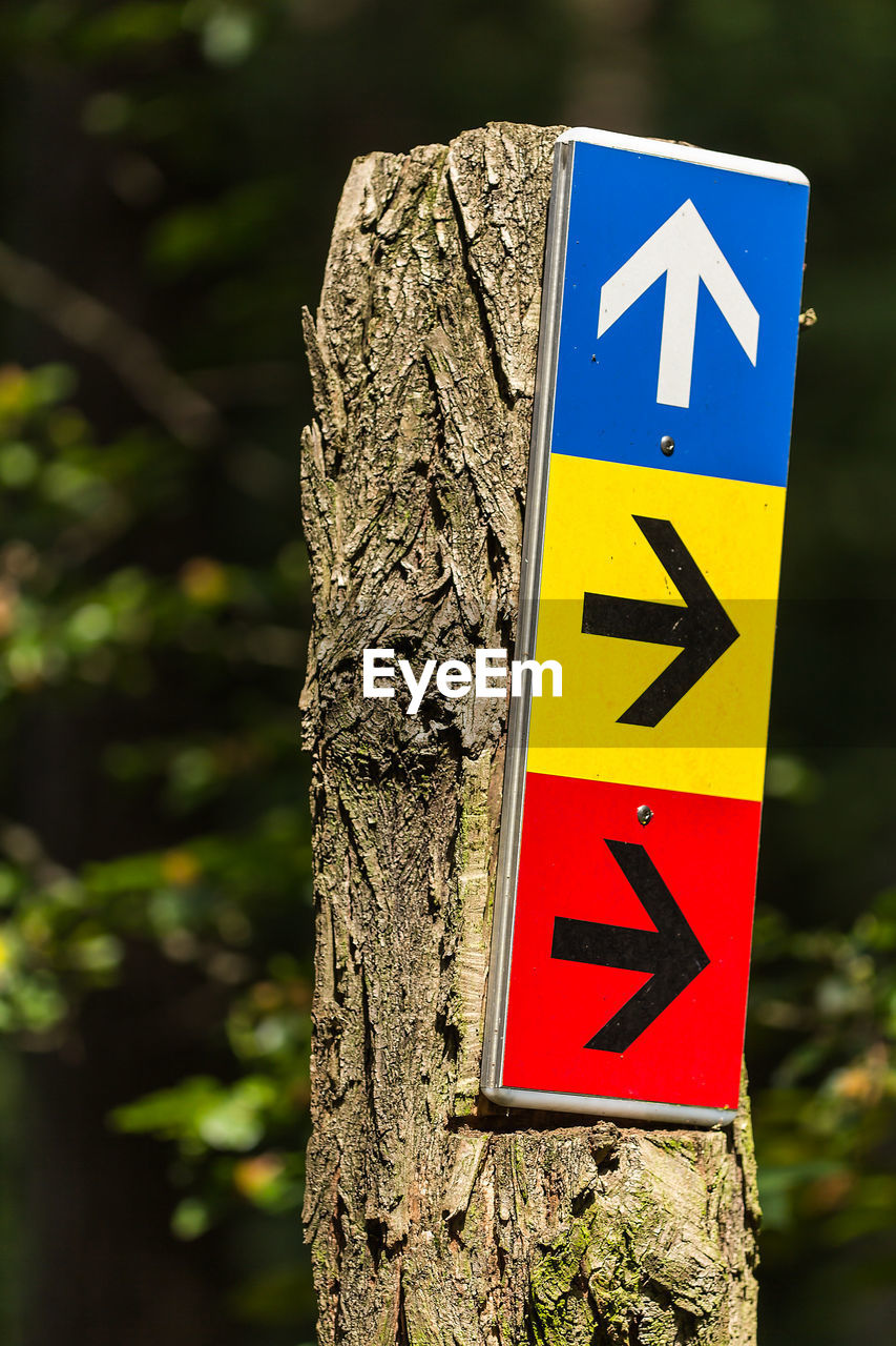 CLOSE-UP OF WARNING SIGN ON TREE TRUNK