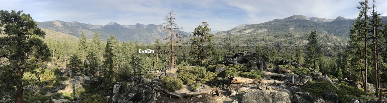 Panoramic view of trees and mountains against sky