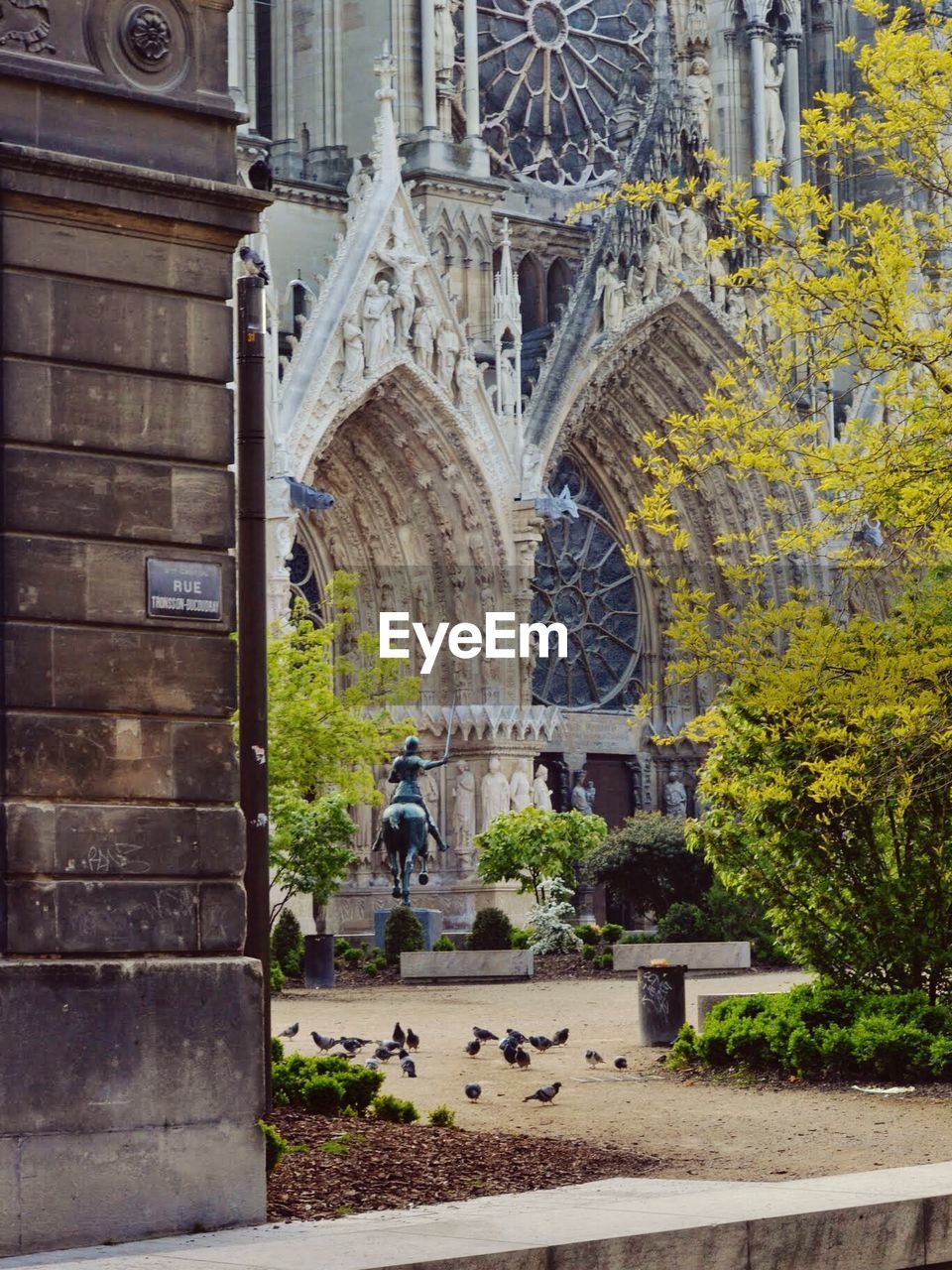 Pigeons against reims cathedral