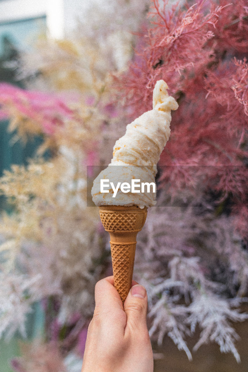 Cropped hand holding ice cream cone against plants