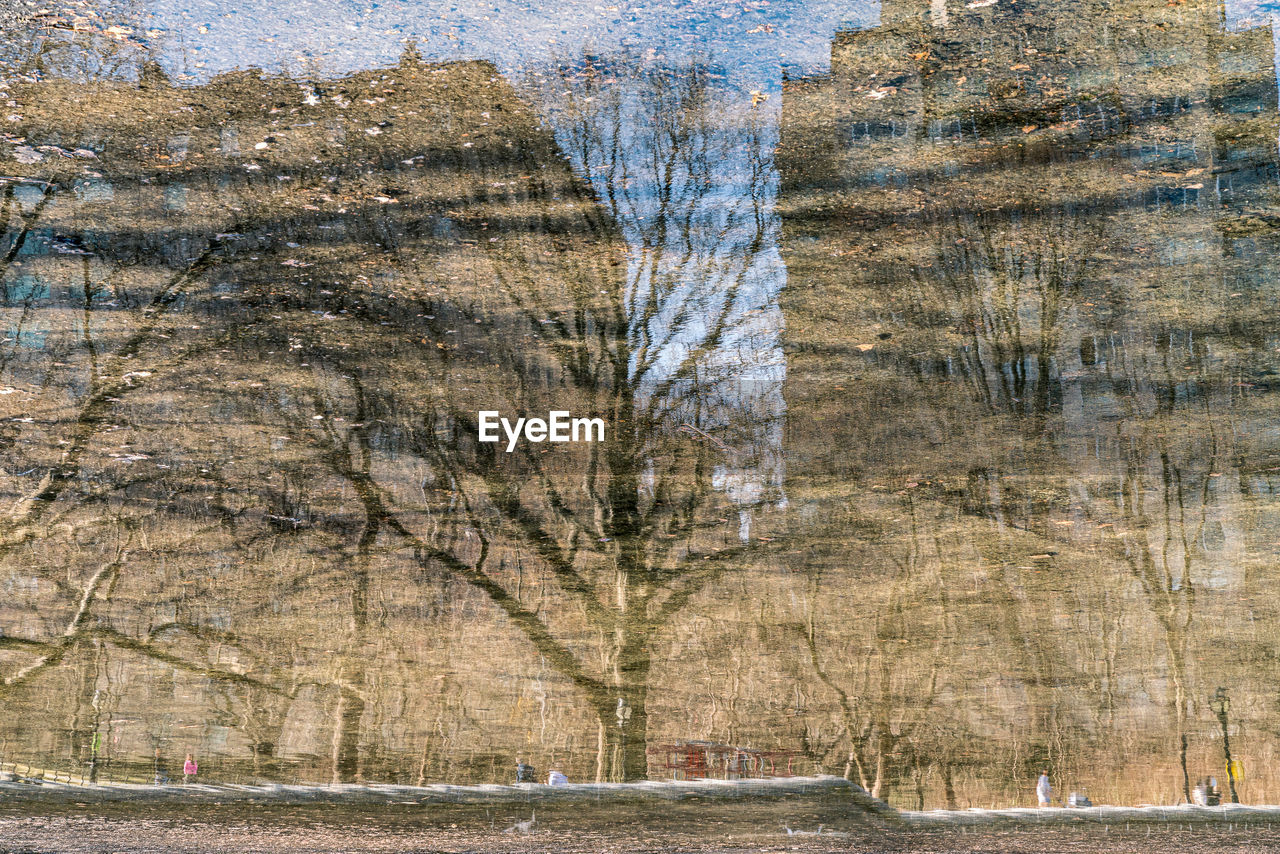 Bare trees reflected on pond water with city buildings